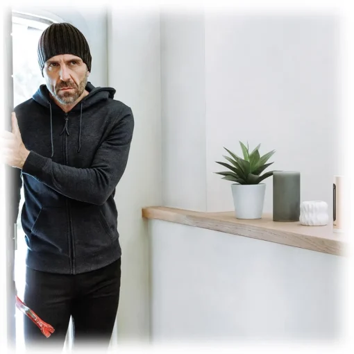 Netatmo Smart Home-- Outdoor Camera with Siren and Indoor Camera - Security Camera - Avvenice