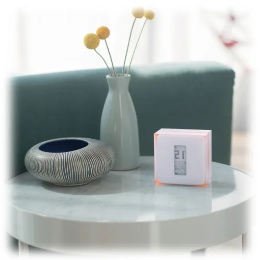 Netatmo Smart Home-- Thermostat Kit + Monoxide Detector - Carbon Monoxide Alarm - Avvenice