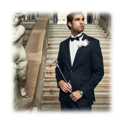 Pasotti Ombrelli 1956 Umbrellas And Sticks-- BA W43 - Silver Rose Stick - Luxury Artisan High Quality Stick - Avvenice