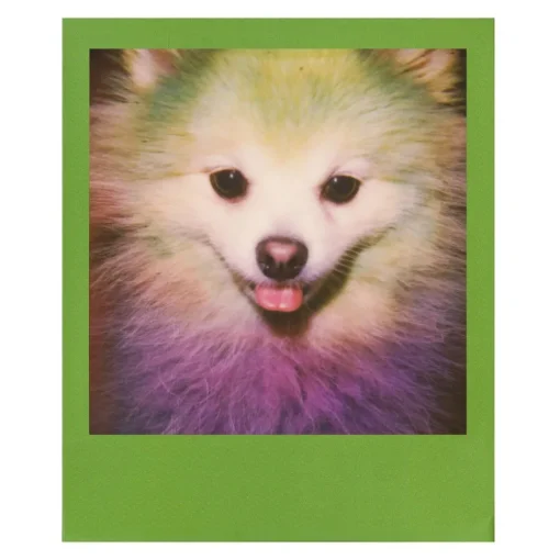 Polaroid Originals Photo & Video-- Color Film for 600 - Color Frame - Film for 600 Cameras - OneStep 2 - Avvenice