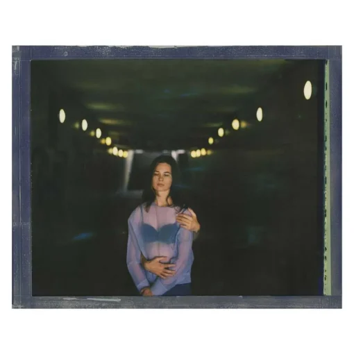 Polaroid Originals Photo & Video-- Color Film for 8x10 - Black Frame - Film for 8x10 Cameras - Avvenice