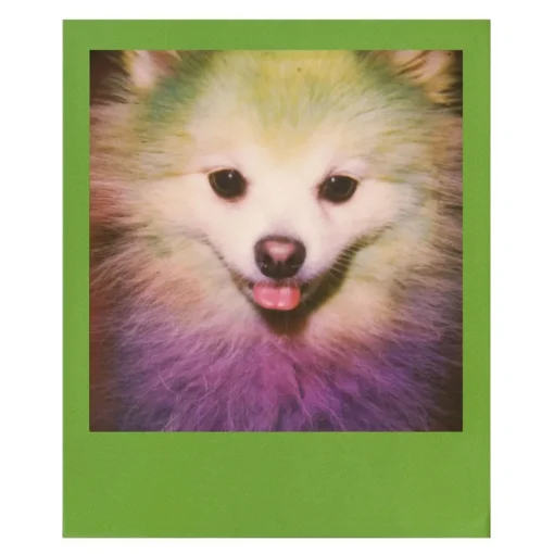Polaroid Originals Photo & Video-- Tripe Pack Film for 600 Rainbow - Color Frame - Film for 600 Cameras - OneStep 2 - Avvenice