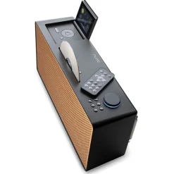 Pure Audio-- Evoke Home - Wood Edition - Coffee Black with Cherry Wood Grill - All-in-One Music System - High Quality Digital Radio - Avvenice
