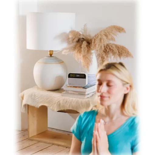 Pure Audio-- Moment - The Ambient Sleep Companion - Cotton White - High Quality Digital Radio - Avvenice