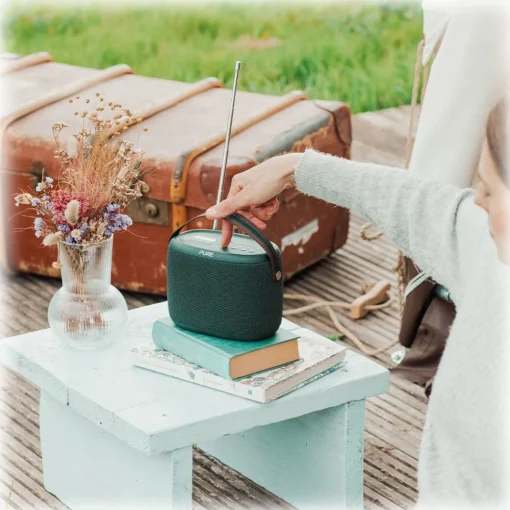 Pure Audio-- Woodland Explorer Pack - Light Brown - Mobile Speaker - High Quality Digital Radio - Avvenice