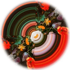 Qeeboo Furnishings-- Carpet Glitch Round Half - Round Half - Carpet by Richard Hutten - Furnishing - Home - Avvenice