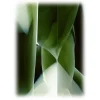 Qeeboo Furnishings-- Carpet Studio Nucleo Green Onyx (3x4mt) - Green Onyx - Carpet by Studio Nucleo - Furnishing - Home - Avvenice