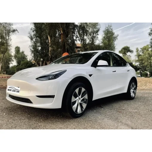 Rent Luxe Car Supercar-- Tesla Model Y - Exclusive Luxury Rent - Avvenice