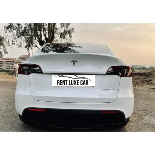 Rent Luxe Car Supercar-- Tesla Model Y - Exclusive Luxury Rent - Avvenice