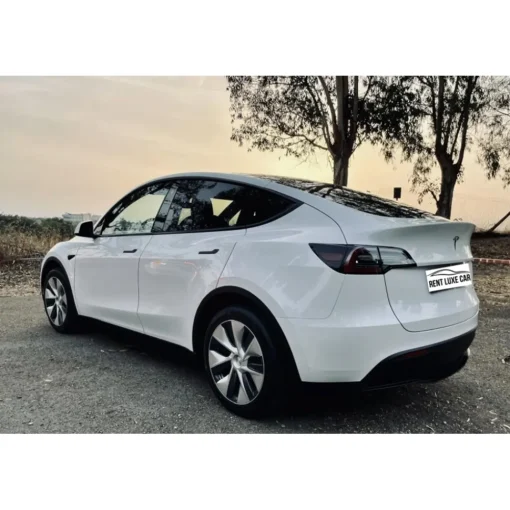 Rent Luxe Car Supercar-- Tesla Model Y - Exclusive Luxury Rent - Avvenice