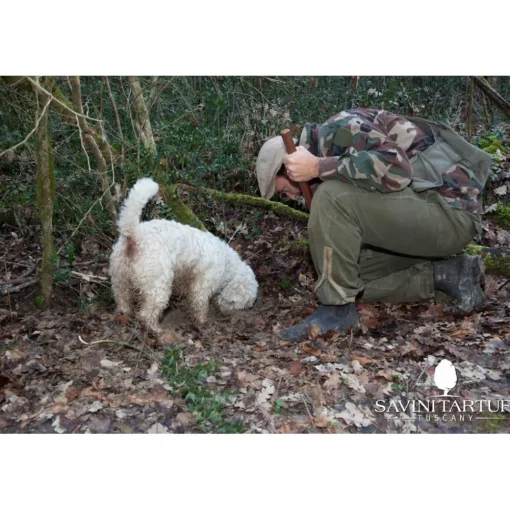 Savini Tartufi Exclusive Experiences-- Truffle Discovery - Truffle Experience - Guided Tour, Truffle Hunt and Tasting - Daily - Avvenice