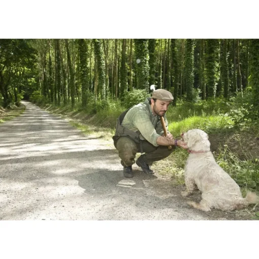 Savini Tartufi Exclusive Experiences-- Truffle Discovery - Truffle Experience - Guided Tour, Truffle Hunt and Tasting - Daily - Avvenice