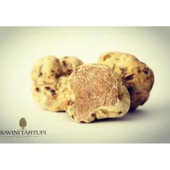 Savini Tartufi Exclusive Experiences-- Truffle Discovery - Truffle Experience - Guided Tour, Truffle Hunt and Tasting - Daily - Avvenice