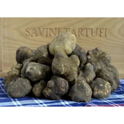 Savini Tartufi Exclusive Experiences-- Truffle Discovery - Truffle Experience - Guided Tour, Truffle Hunt and Tasting - Daily - Avvenice