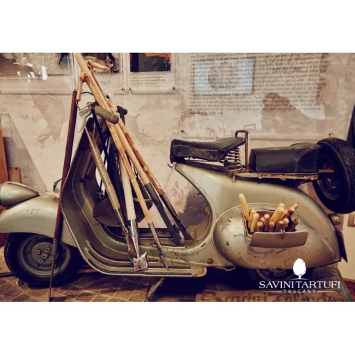 Savini Tartufi Exclusive Experiences-- Truffle Discovery - Truffle Experience - Guided Tour, Truffle Hunt and Tasting - Daily - Avvenice