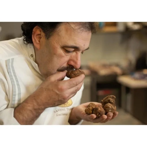 Savini Tartufi Exclusive Experiences-- Truffle Discovery - Truffle Experience - Guided Tour, Truffle Hunt and Tasting - Daily - Avvenice
