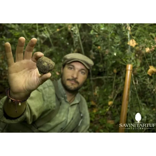 Savini Tartufi Exclusive Experiences-- Truffle Discovery - Truffle Experience - Guided Tour, Truffle Hunt and Tasting - Daily - Avvenice