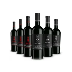 Scuderia Italia Wines-- Pack of 6 Red Bottles - Italy - Red Wines - Luxury Limited Edition - Avvenice