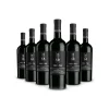 Scuderia Italia Wines-- Pack of 6 Collectible Bottles - Italy - Red Wines - Luxury Limited Edition - Avvenice