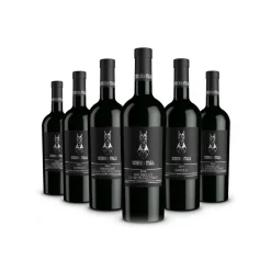 Scuderia Italia Wines-- Pack of 6 Collectible Bottles - Italy - Red Wines - Luxury Limited Edition - Avvenice