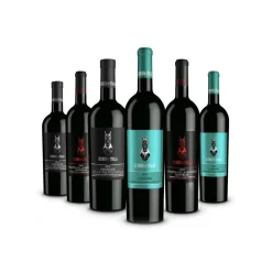 Scuderia Italia Wines-- Pack of 6 Bottles of Venetian Wines - Italy - Red Wines - Luxury Limited Edition - Avvenice