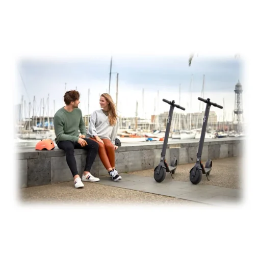 Segway Drones & Hoverboard-- Ninebot by - KickScooter E22E - Electric Scooter - Electric Wheels - Avvenice