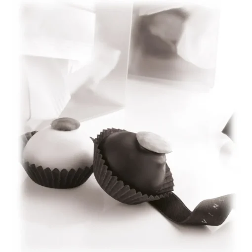 Vincente Delicacies Sweets-- Classic Almond Cookies Covered With 70% Extra-Dark Chocolate - Crystal Box - Avvenice