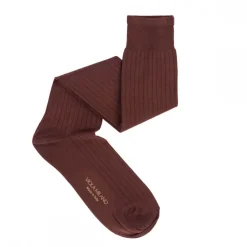 Viola Milano Accessories-- Solid Over-the-Calf Cotton and Silk Socks - Cola - Handmade in Italy - Luxury Exclusive Collection - Avvenice