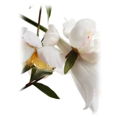 Yves Saint Laurent Beauty Fragrances-Yves Saint Laurent - Mon Paris Eau De Toilette - A Floral Fragrance with Grapefruit & Orange Blossom - 90 ml - Luxury - Avvenice