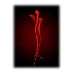 Yves Saint Laurent Beauty Natural Cosmetics-Yves Saint Laurent - Or Rouge Anti-Aging Serum - Refill - Powerful Anti-Aging - Skin Resurfacing Serum - Luxury - Avvenice