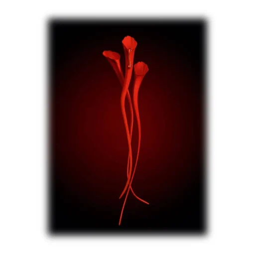 Yves Saint Laurent Beauty Natural Cosmetics-Yves Saint Laurent - Or Rouge Anti-Aging Serum - Refill - Powerful Anti-Aging - Skin Resurfacing Serum - Luxury - Avvenice